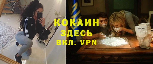 прущий лед Богданович