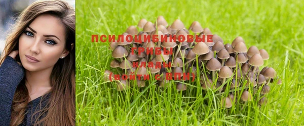 прущий лед Богданович