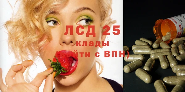 прущий лед Богданович